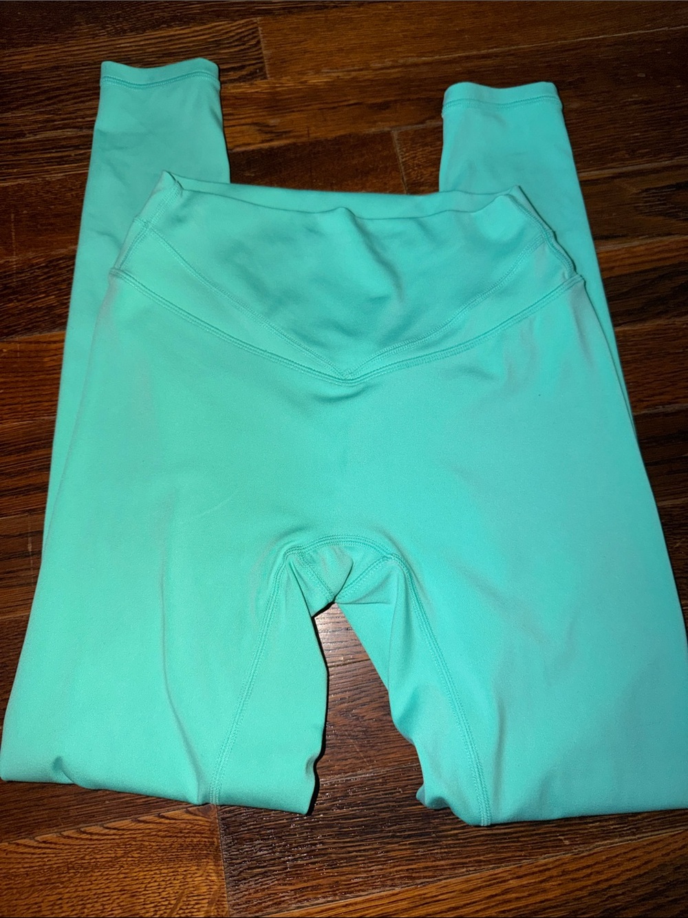 Paragon Reluna Icon Sculptseam Plus Leggings in the color Rave size S